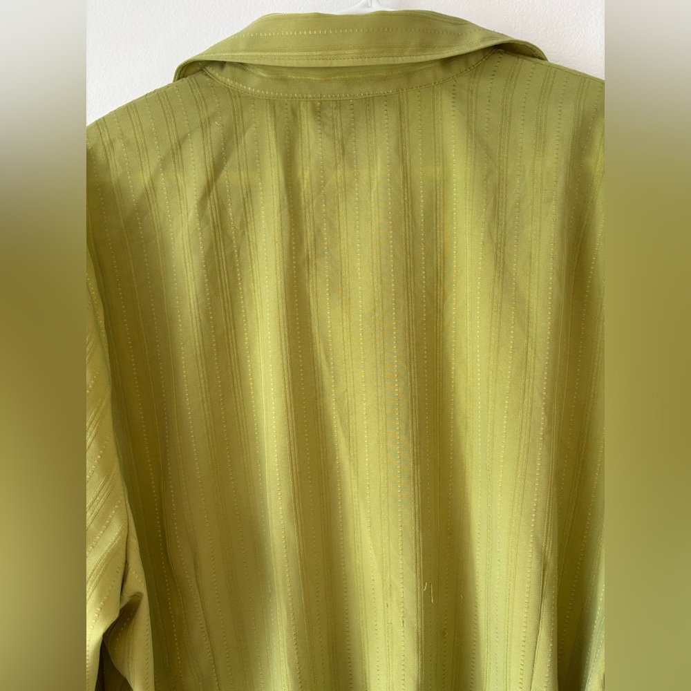 Fred David Light Green Women's Button-Down Blouse - Picture 7 of 10